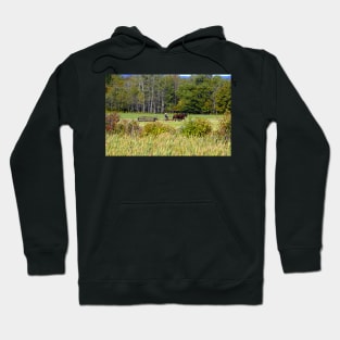 Farming tradition Hoodie